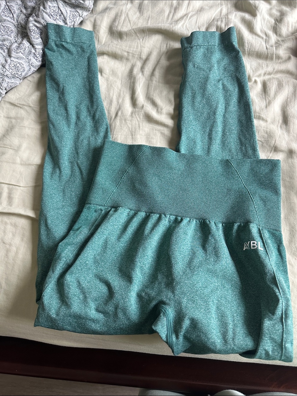 AYBL EMPOWER SEAMLESS LEGGINGS